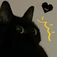 要不要和狗勾一起散步