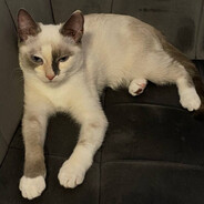 ПРИЛЕТЕЛО - steam id 76561198153381786