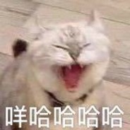 奈奈不会玩沙鹰