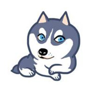 < < ! ! !  > >   dog king