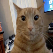 Felix (abiba3) avatar