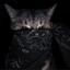 blacky