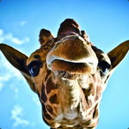 家在海边喜欢浪