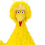 BIG BIRD