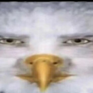 EU player GER