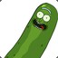 pickle_rick