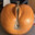 my special pumpkin (mine)