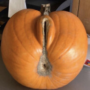 my special pumpkin (mine)
