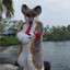 Juggalo Furry