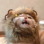 她