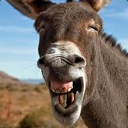 MDK
