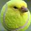 Tennis Bird