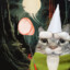 blorgir the bugcatcher
