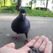 Киберспортсмен