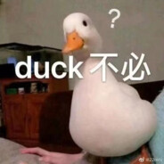 DuckDuck