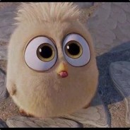 配的脑子都乱乱的。