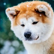 пуля в горле