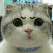 谁能把太阳上的嫦娥娶回家