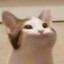 haku
