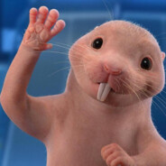 ♿️fikys_petя♿