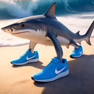 daozhu36632225@163.com