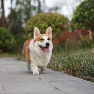 AAA爱睡觉的小杨