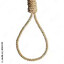 Jeffery Epstein's Rope