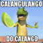 Joelho De Calango