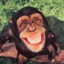 happy monkey