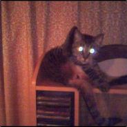 Daydo - steam id 76561197965685950