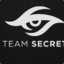 Team Secret X.概念