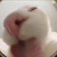 超级美少女战士1122