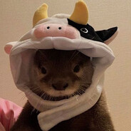 ColeSloths