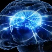 大不列颠看家狗