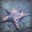 EyelessStarfish
