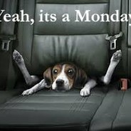 FUcking MonDay avatar