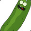 Im_Pickle_rick