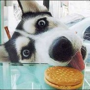 BlindGuard - steam id 76561197960412133