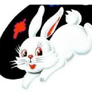 白兔