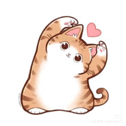 kitty cat ⚞ ᴥ ⚟