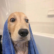 唐僧洗头爱飘柔