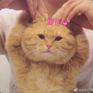 善口技者无1可靠