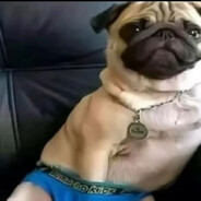 Pakimon...