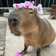 RS - steam id 76561198876030056