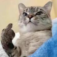 珍惜才配拥有他