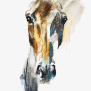 皎皎白驹，食我场藿