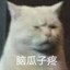 听说你被猴打了