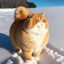 Fat Cat King