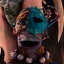 oralius_vulvii