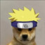 Zoro_Hagever